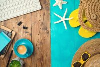 Nouvelles connexions & été de la conception de sites web