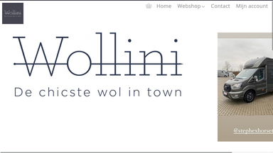 Wollini
